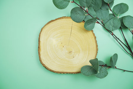wooden podium product display stands flat lay with leaves top view on green backgroundの写真素材