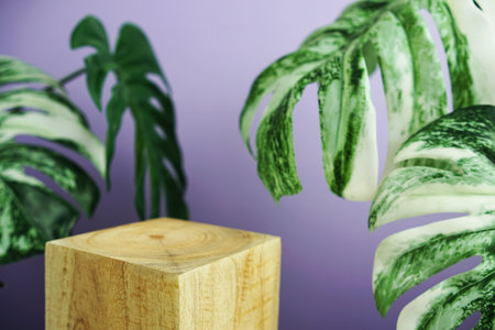 Wooden podium display scene stage showcase front view with copy space and monstera leaves decoration on purple backgroundの写真素材