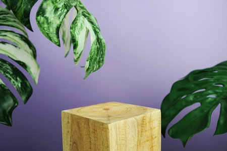 Wooden podium display scene stage showcase front view with copy space and monstera leaves decoration on purple backgroundの写真素材