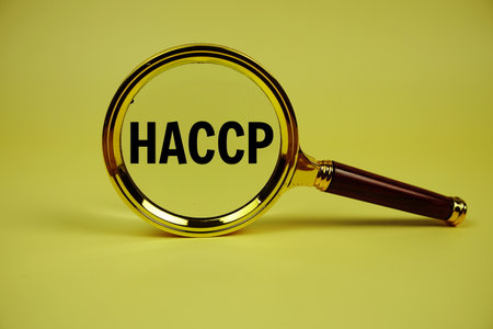 HACCP text with magnifying glass on yellow backgroundの写真素材