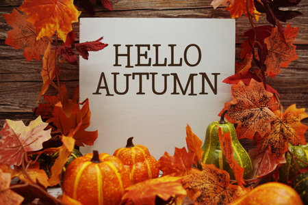 Hello Autumn text with maple leaf decoration on wooden backgroundの写真素材