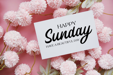 Happy Sunday Have a Beautiful Day text with flowers decorations on pink backgroundの写真素材