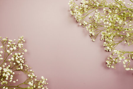 Space for copy background and flower decoration on pink backgroundの写真素材