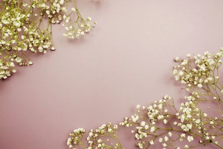 Space for copy background and flower decoration on pink backgroundの写真素材