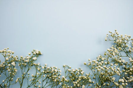 Space for copy background and flower decoration on blue backgroundの写真素材
