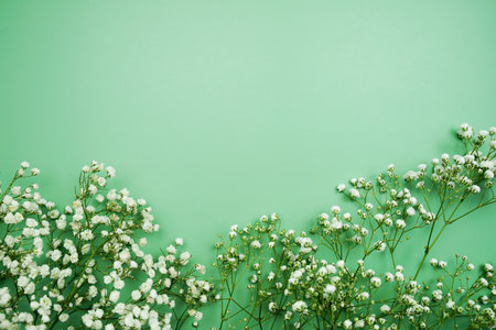 Space for copy background and flower decoration on green backgroundの写真素材