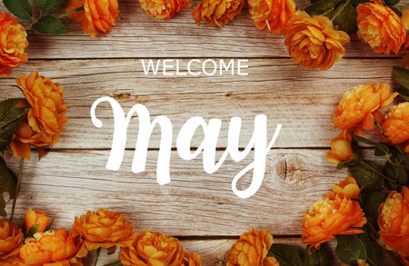 Welcome May typography text with flower border frameの写真素材