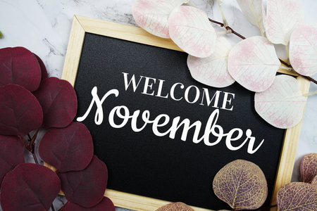 Welcome November text with eucalyptus leaf decorated on marble backgroundの写真素材