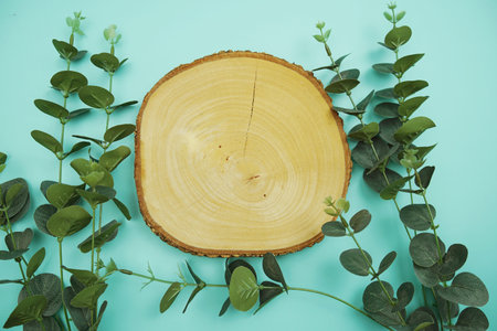 wooden podium product display stands flat lay with leaves top view on blue background