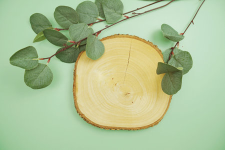 wooden podium product display stands flat lay with leaves top view on green background