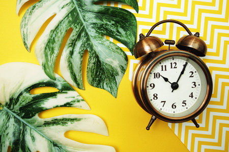 Alarm clock with Monstera Leaves on yellow backgroundの写真素材