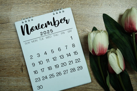 November 2025 annual monthly desk calendar for planning and management