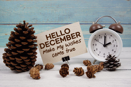 Hello December, Make My Wishes Come True