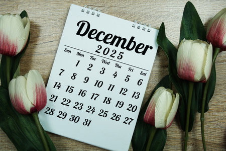 December 2025 annual monthly desk calendar for planning and managementの写真素材