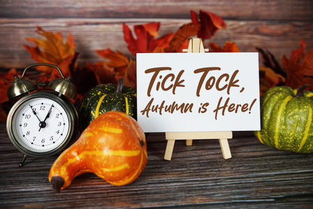 Tick Tock Autumn is Here! text with alarm clock, maple leaf and pumpkins decoration on wooden...
