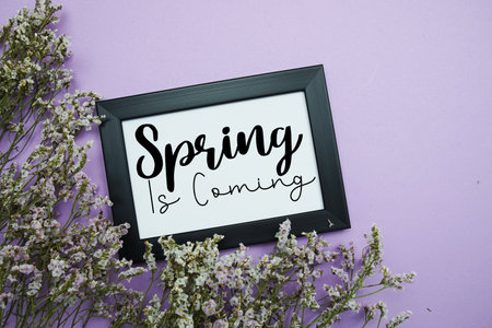 Spring Is Coming text with flowers bouquet decoration on purple backgroundの写真素材
