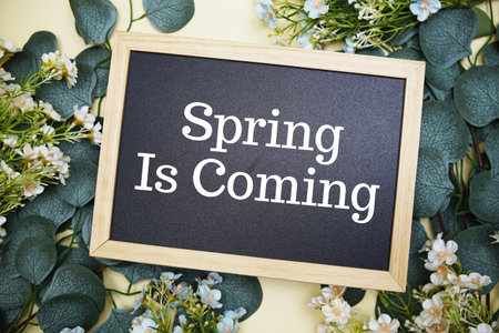Spring Is Coming text message with flowers bouquet decoration on yellow background