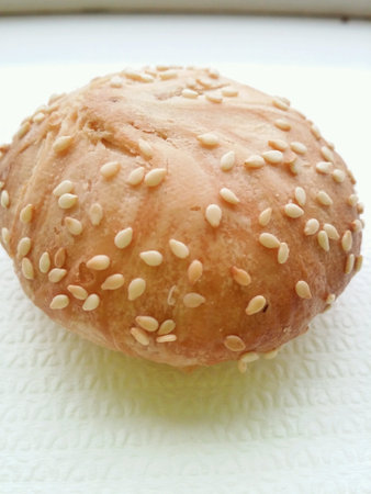 Malt biscuit close up