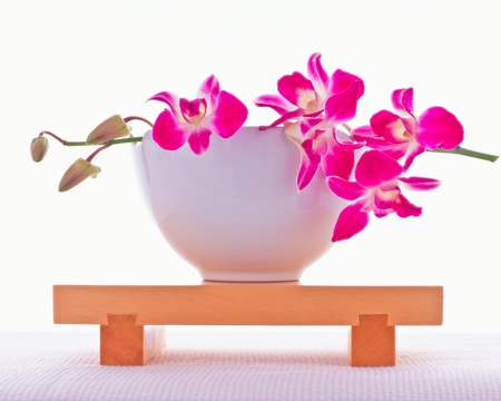 Beautiful purple orchidの写真素材