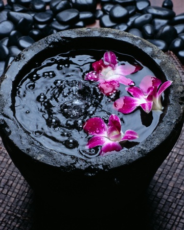 Sink of orchid on pebbleの写真素材