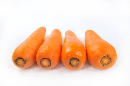 carrot
