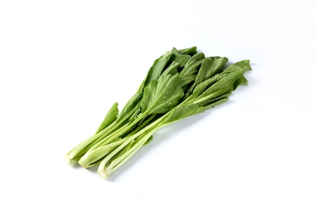 Kaleの写真素材