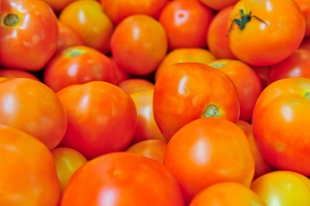 Fresh tomatoes on street market for sale の写真素材