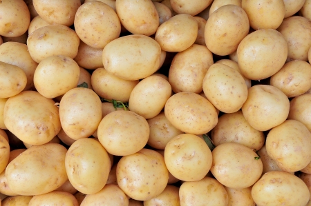 potatoes raw vegetables food pattern in market の写真素材