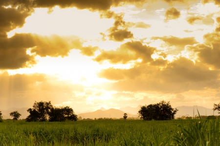 Sunset in steppeの写真素材