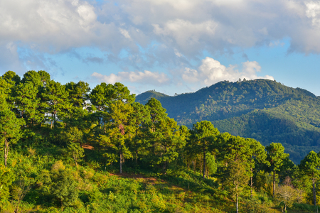Mountain viewの写真素材