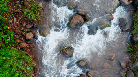 Mountain stream in the forest with rocks and green grass in summer