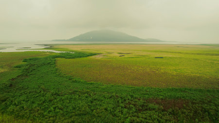 A creek flowing from a mountain in the morningの写真素材