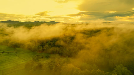 Aerial view drone shot of flowing fog waves on mountain tropical rainforest In the evening, Bird eye...