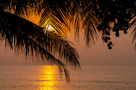Sunset on the beach. Paradise beach. Tropical paradise, with white sand, a beach, palm trees, and clear water.の写真素材