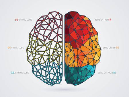 vector illustration of a brain iconのイラスト素材