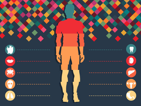 illustration of human anatomyのイラスト素材