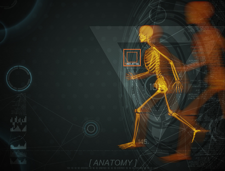 3d illustration of  walking fire skeleton by X-rays on backgroundの写真素材