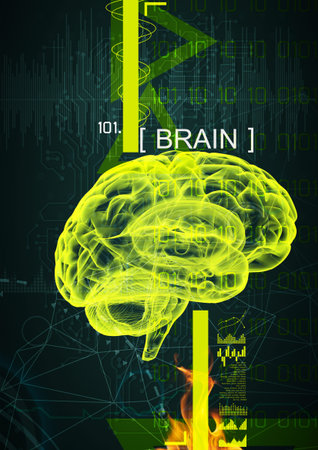 3d illustration of human brain by x- ray on background