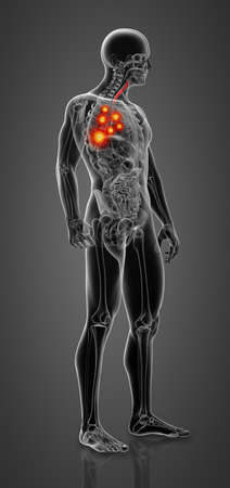 3d render lungs with visible bronchi - side viewの写真素材