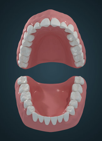 3D teeth on black background