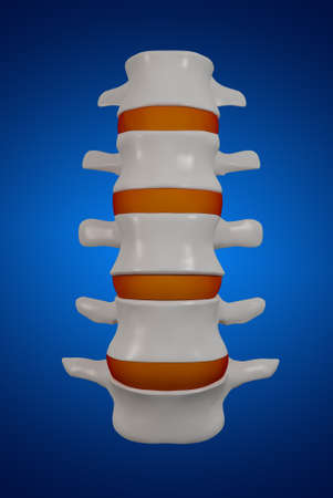 3d rendered - spine structure on black background with red spinal disc - front viewの写真素材