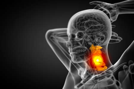 3d render medical illustration of the cervical spine - side viewの写真素材