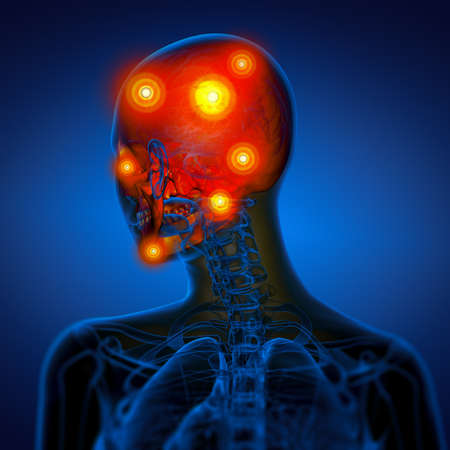 3d render medical illustration of the skull - back viewの写真素材