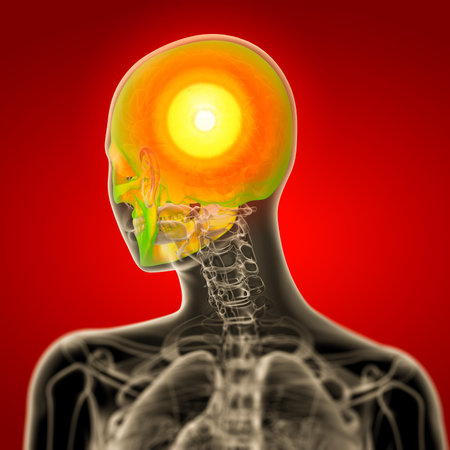 3d render medical illustration of the skull - back view