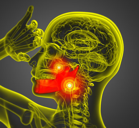 3d rendered illustration - jaw bone - side viewの写真素材