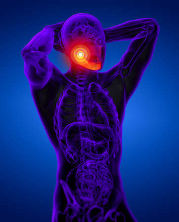 3d rendered illustration - jaw bone - side viewの写真素材