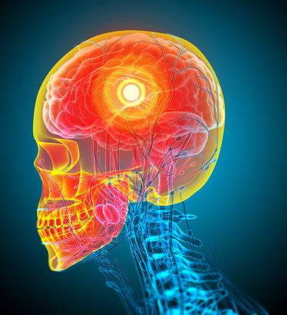 3d render medical illustration of the human skull - side view