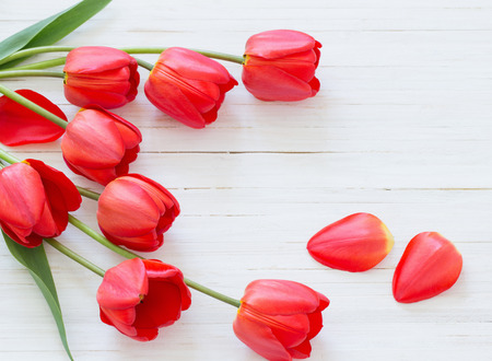 beautiful tulips on wooden backgroundの写真素材