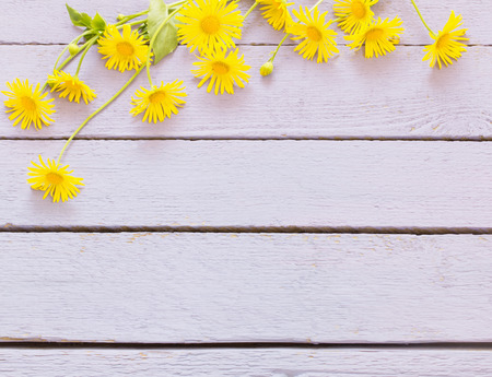 flowers on wooden backgroundの写真素材