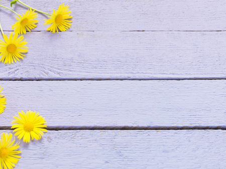 flowers on wooden backgroundの写真素材